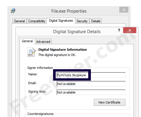 Screenshot of the Fyinruee Nugwyw certificate